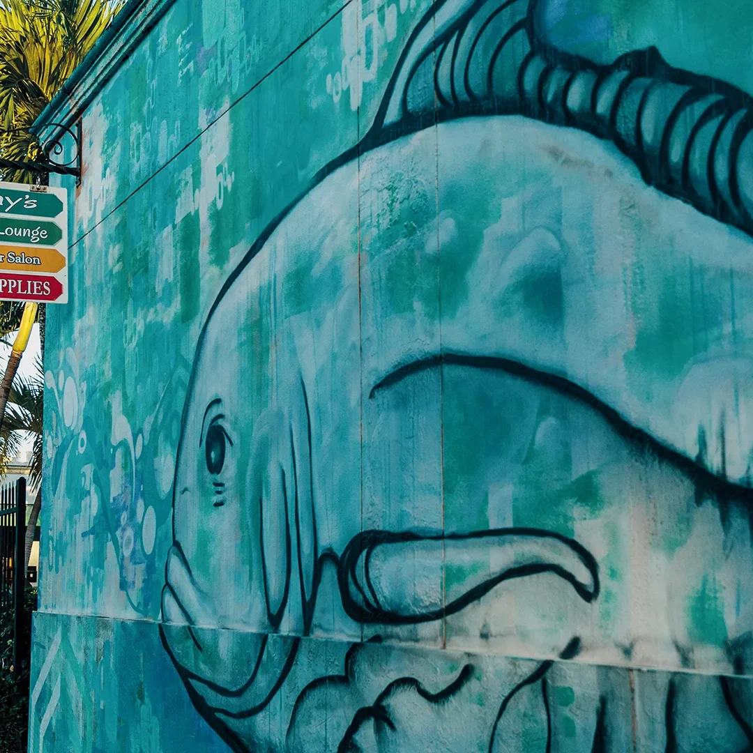 Whale graffiti art painted on a vibrant blue wall in an urban setting.